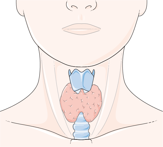 Medición de glucosa