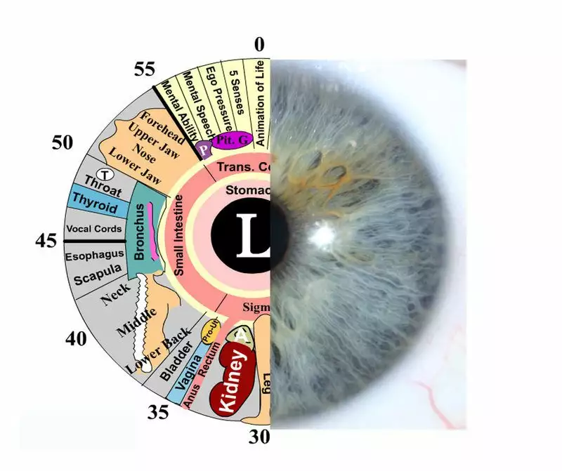 Iridología y examen del Iris